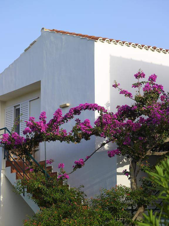 Mousses Apartments & Studios Kissamos Ruang foto